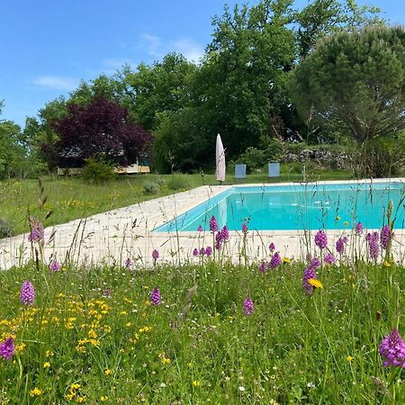 Yourte Maison Oya Montreal  Ngoại thất bức ảnh